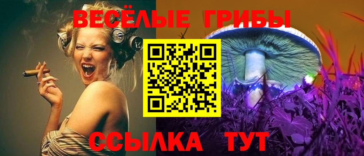 Севастополь  Псилоцибиновые грибы Psilocybe  Вход с VPN 