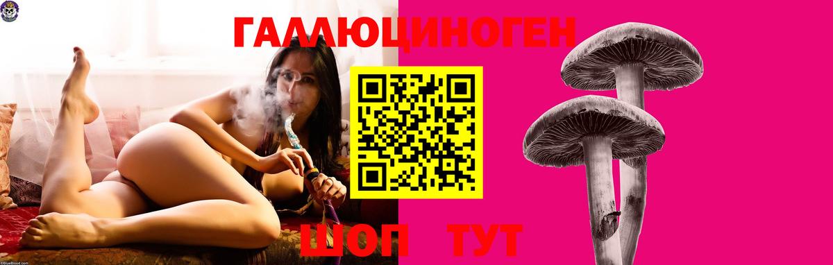 Галлюциногенные грибы мицелий Севастополь