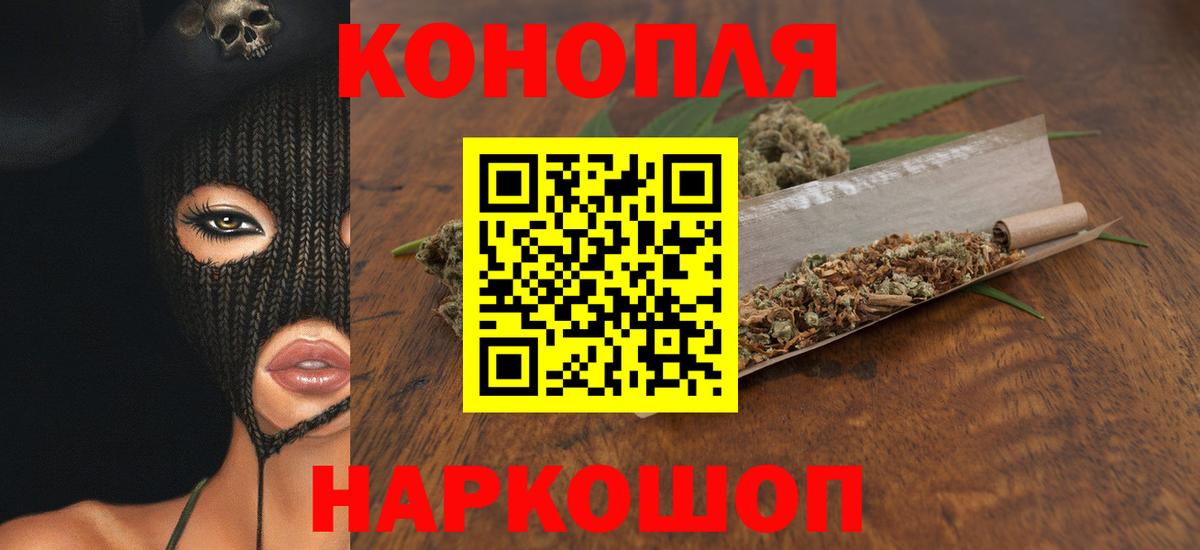 Севастополь  Бошки марихуана план  Вход с VPN  Канабис White Widow  Марихуана White Widow  Конопля AK-47 
